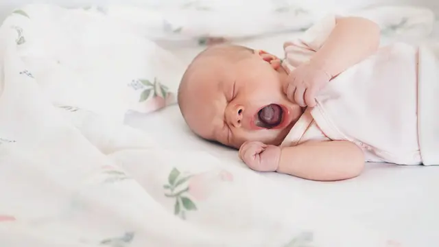 Lidah bayi (iStock)