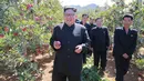 Pemimpin Korea Utara, Kim Jong-Un memetik apel ketika mengunjungi sebuah perkebunan buah di Kwail County, provinsi Hwanghae Selatan pada foto yang dirilis Kamis (21/9). (STR / KCNA VIS KNS / AFP)
