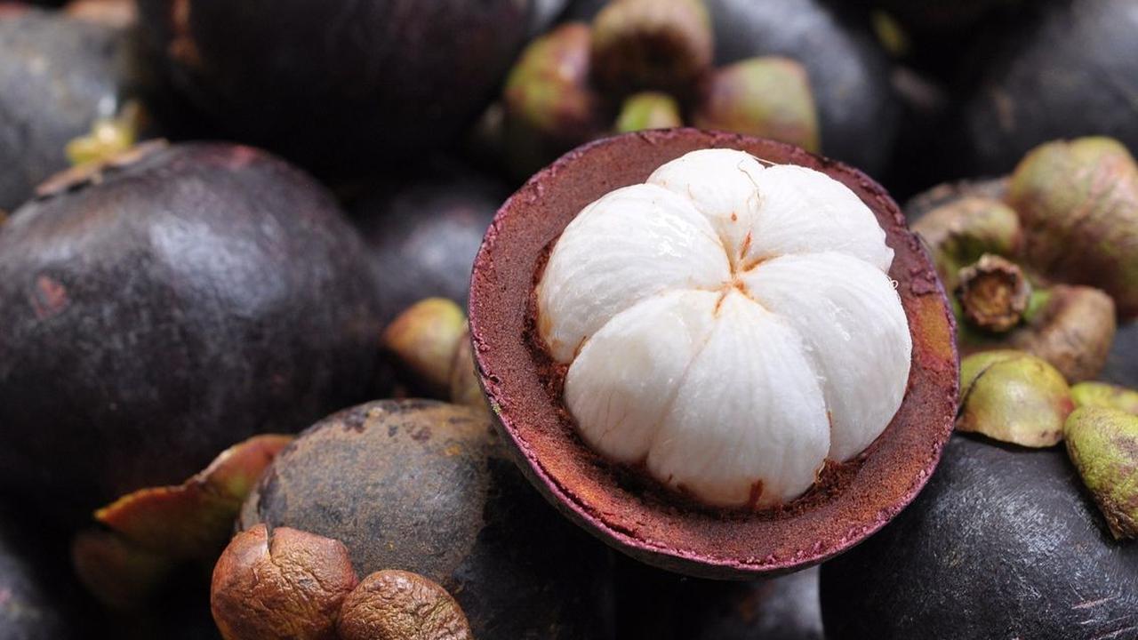 Kandungan Kulit Manggis