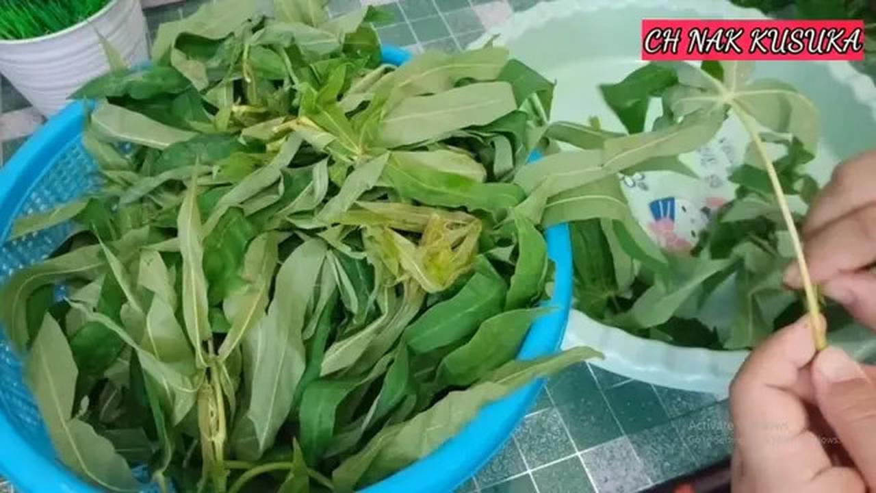 Cara Merebus Daun Singkong Agar Tetap Hijau Segar dan Empuk