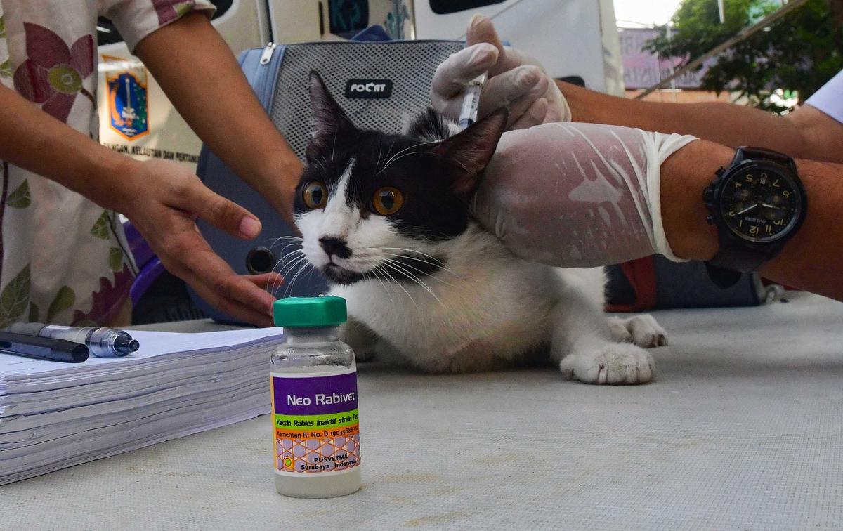 Warga Manfaatkan Layanan Klinik Hewan Keliling