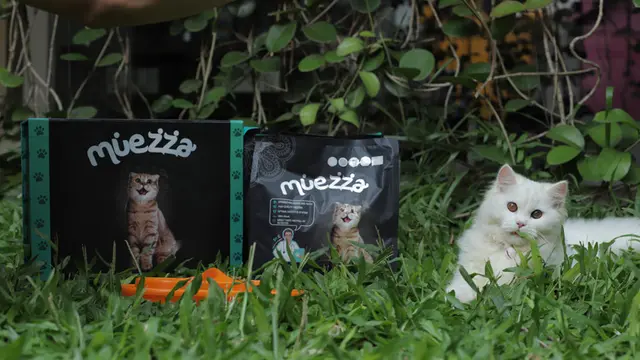 Kado-kado Cantik untuk Cat Lovers, Pasti Jadi yang Tak Terlupakan!