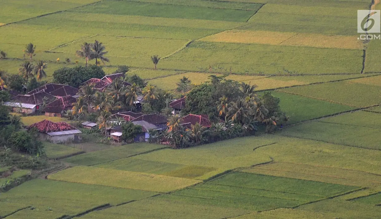 Pemandangan areal persawahan di Kawasan Geopark Ciletuh, Sukabumi, Sabtu (23/6). Kawasan yang dikenal sebagai salah satu taman batu tertua di Pulau Jawa ini resmi menyandang status UNESCO Global Geopark. (Merdeka.com/Arie Basuki)