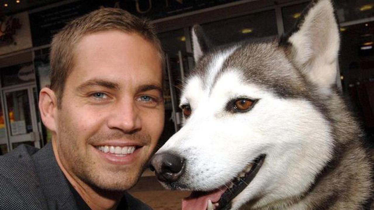 Ada Paul Walker di MTV Movie Awards 2014