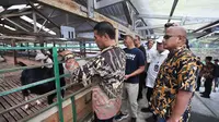 Pemerintah Ajak Peternak Kambing Perah dan Susu Genjot Produksi: Dukung Pangan Bergizi