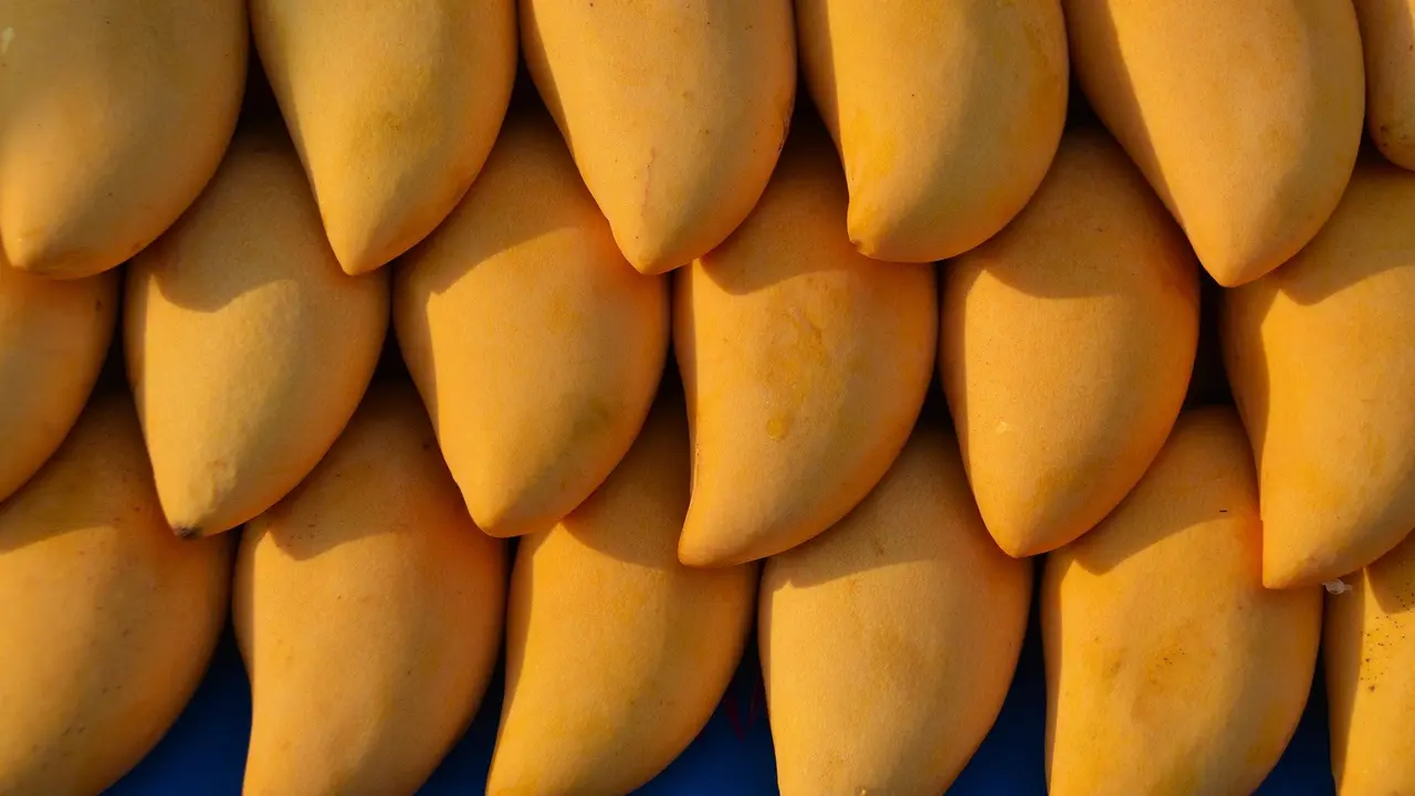 Menelisik Kandungan Nutrisi Buah Mangga dan Manfaatnya, Baik untuk Kesehatan Seksual?