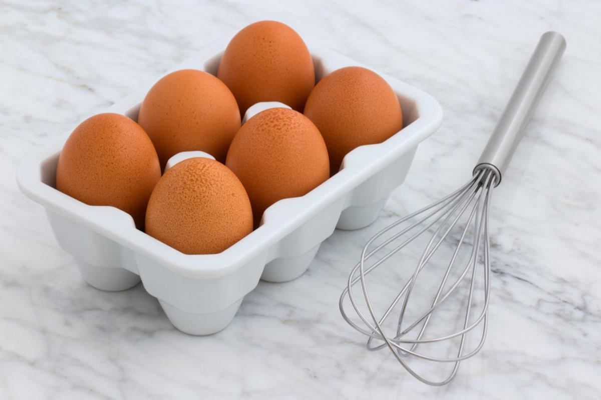 Ilustrasi Telur Ayam