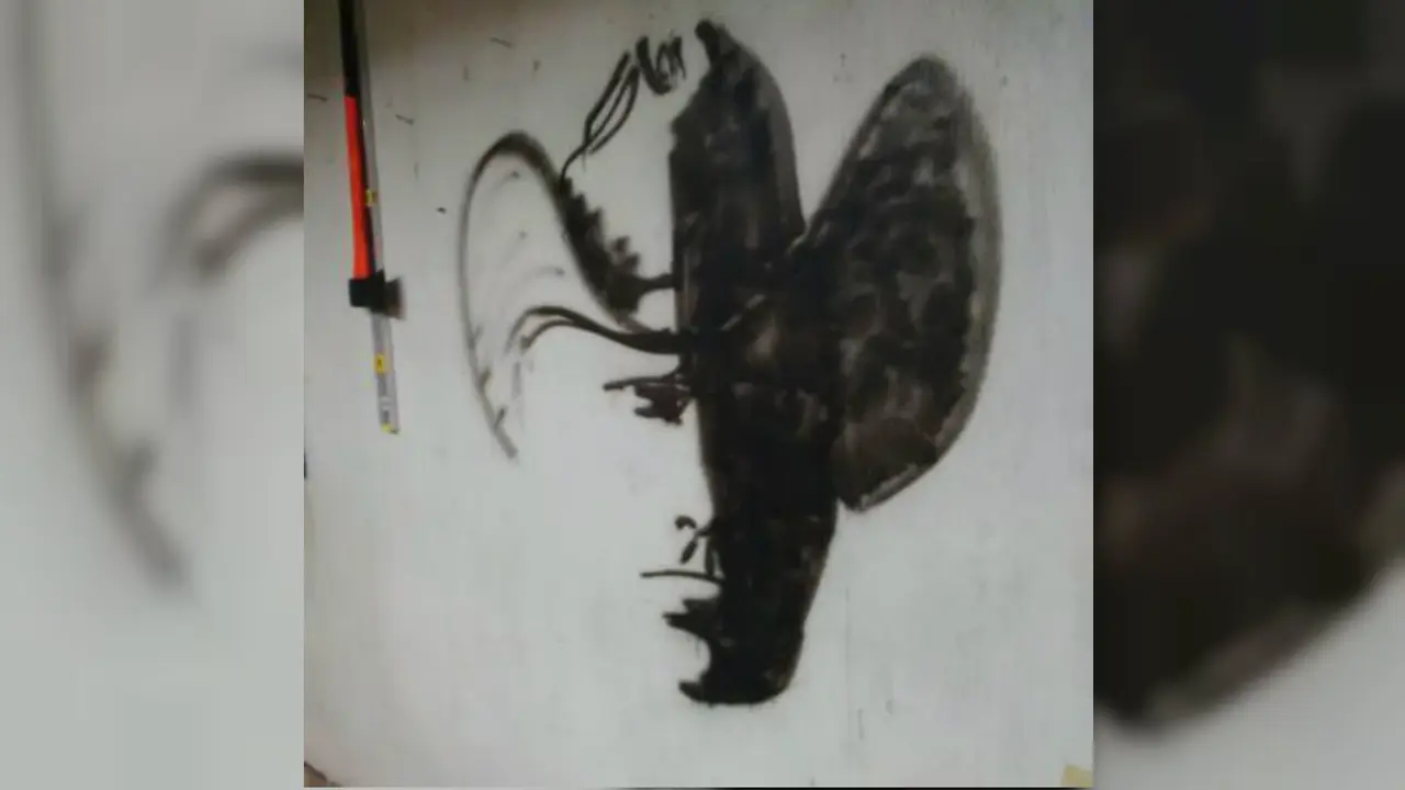 Apa yang Anda lihat dari Gambar Ini?