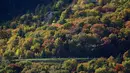 Pepohonan mulai menunjukkan warna musim gugurnya saat wisatawan berjalan di sepanjang Blue Ridge Parkway dekat Linville, North California, pada 18 Oktober 2021. (AP Photo/Gerry Broome)