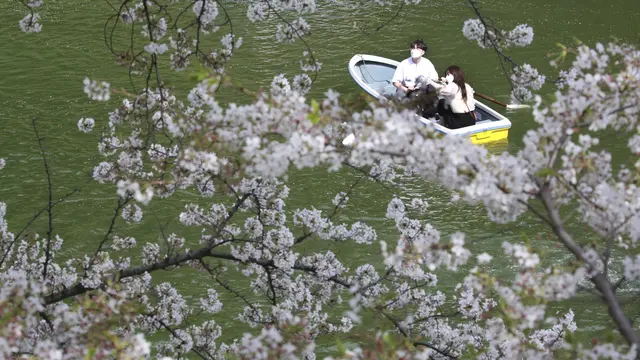 FOTO: Menikmati Sakura Sambil Mendayung Perahu