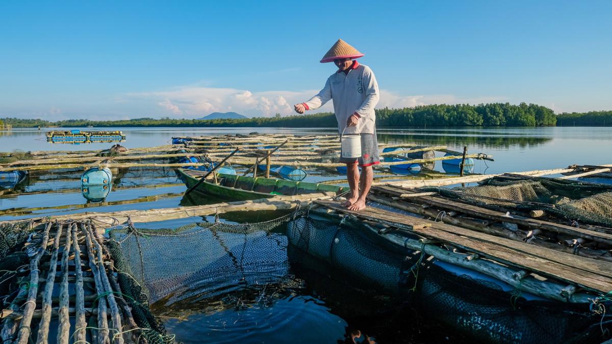 Tabel Angsuran KUR BRI 2025, Cek yang Terbaru di Sini!