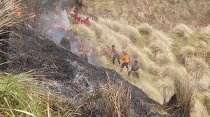 3 Petugas Gugur Terjebak Kobaran Api dalam Kebakaran Bromo