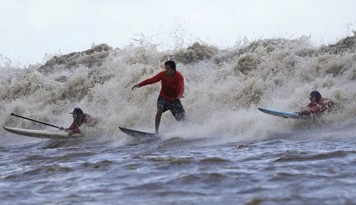 <p>Namun, berselancar di Pororoca sangat berbahaya karena air sungainya mengandung banyak sekali puing-puing pepohonan dari tepi sungai, selain itu isi fauna sungainya yang berbahaya, seperti piranha. (AP Photo/Eraldo Peres)</p>
