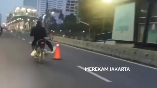 Viral video aksi ugal-ugalan seorang pria yang mengendarai motor dengan menendang belasan traffic cone di Jalan Sudirman hingga MH. Thamrin, Jakarta Pusat, Minggu (7/5) pagi lalu (@merekamjakarta)