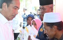 Jokowi Sebut Harga Beras Naik karena Perubahan Iklim Sebabkan Gagal Panen