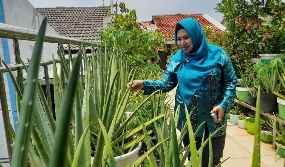 Kebunku Supermarketku