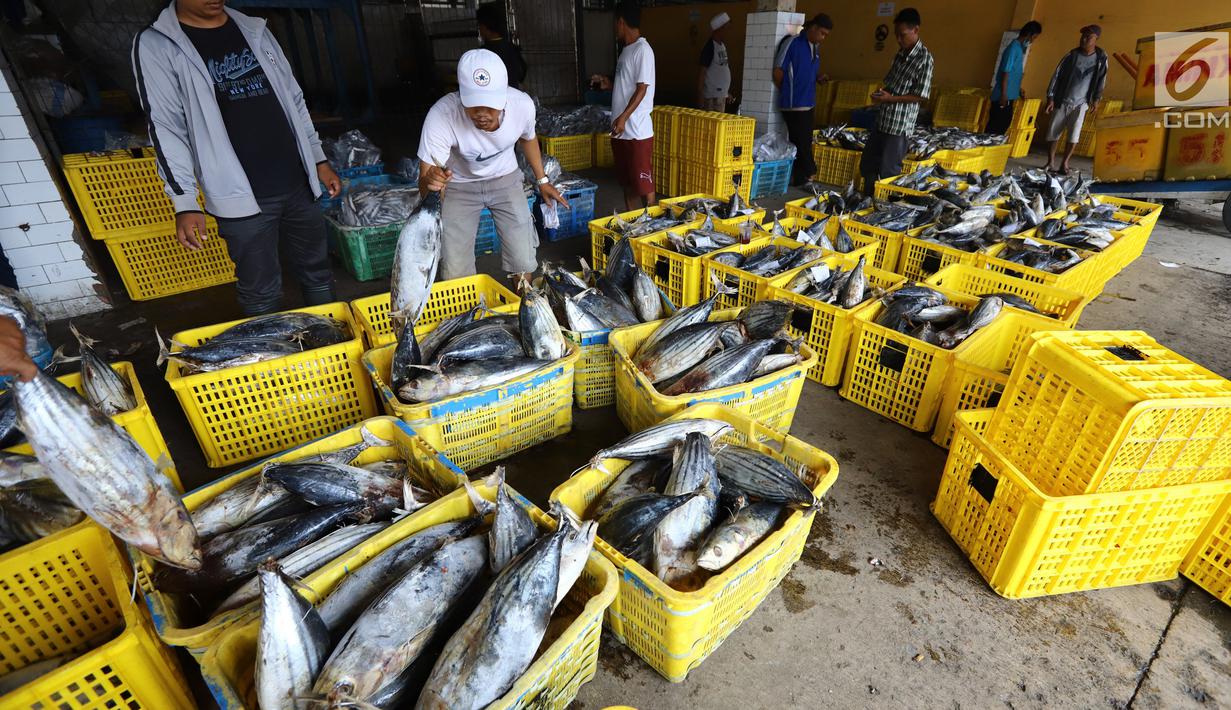 Nelayan memindahkan ikan laut hasil tangkapan di Pelabuhan Muara Angke, Jakarta, Kamis (26/10). Kementerian Kelautan dan Perikanan (KKP) menyatakan hasil ekspor perikanan Indonesia menunjukkan peningkatan. (Liputan6.com/Angga Yuniar)
