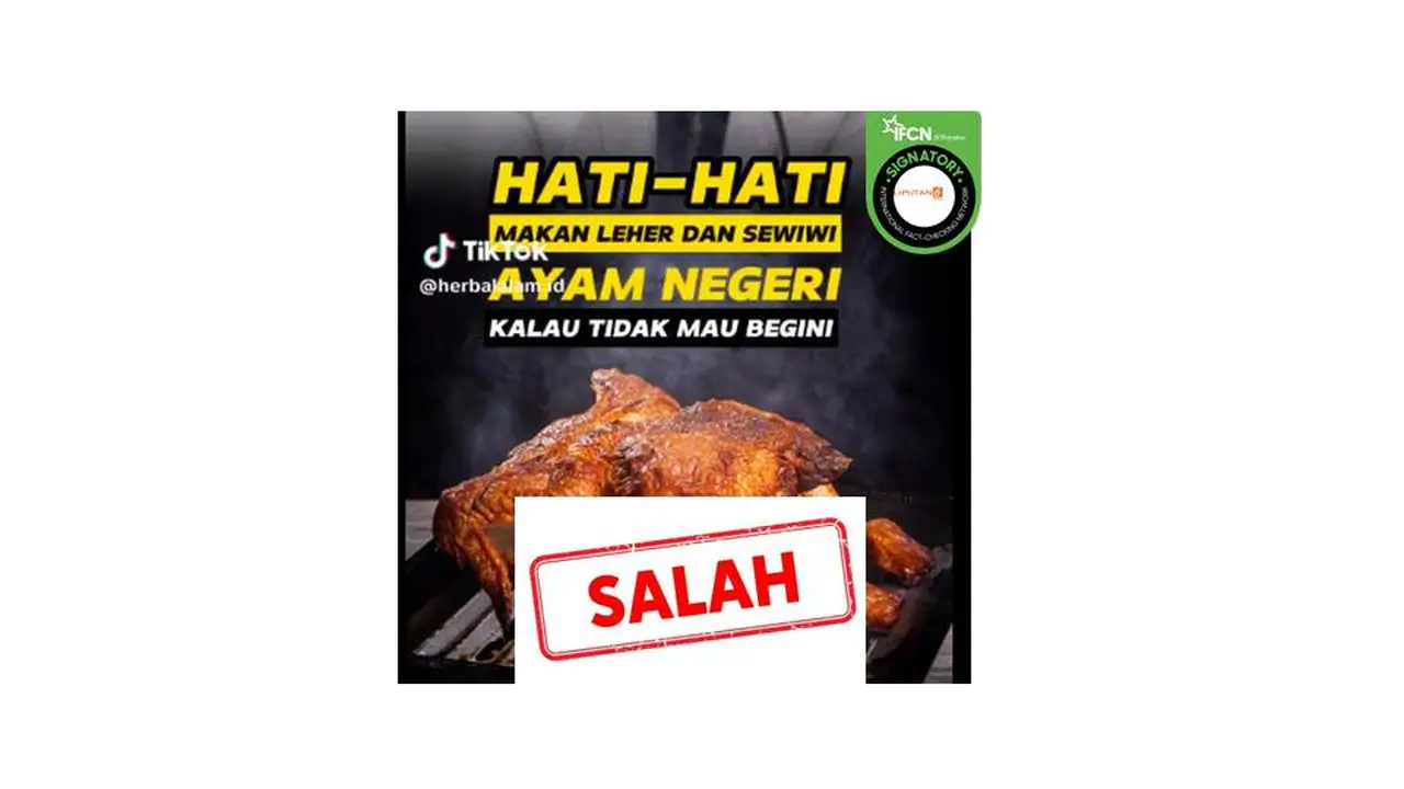 Cek fakta ayam broiler mengandung hormon penyebab kanker