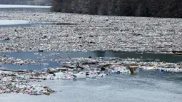 Botol plastik dan sampah lainnya mengapung di danau Potpecko dekat Priboj, di barat daya Serbia, Kamis (12/1/2023). Serbia dan negara-negara Balkan lainnya kewalahan oleh sampah komunal setelah beberapa dekade diabaikan dan kurangnya kebijakan pengelolaan limbah yang efisien di negara-negara yang bercita-cita untuk bergabung dengan Uni Eropa. (AP Photo/Marjan Vucetic)