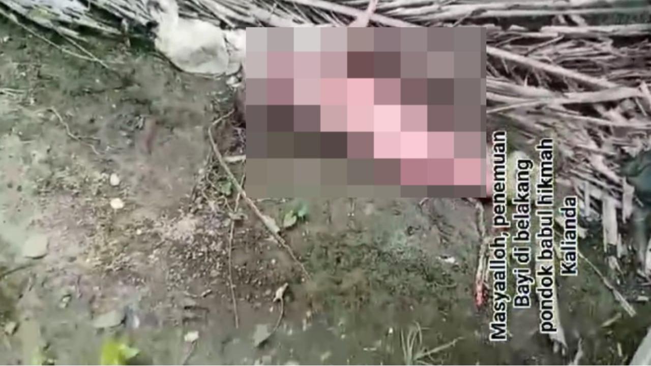Bayi Dibuang di Belakang Tembok Ponpes Babul Hikmah