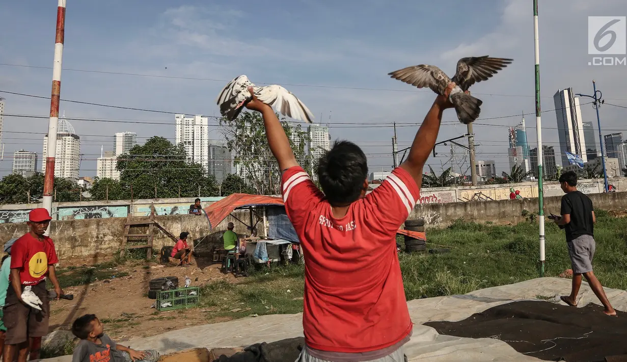 Warga berlatih burung dara kolong lapak tanggul di pesisir Banjir Kanal Barat, Petamburan, Tanah Abang, Jakarta, Rabu (27/2). Latihan tersebut bertujuan untuk mengikuti lomba burung dara setiap hari Sabtu dan Minggu. (Liputan6.com/Fery Pradolo)