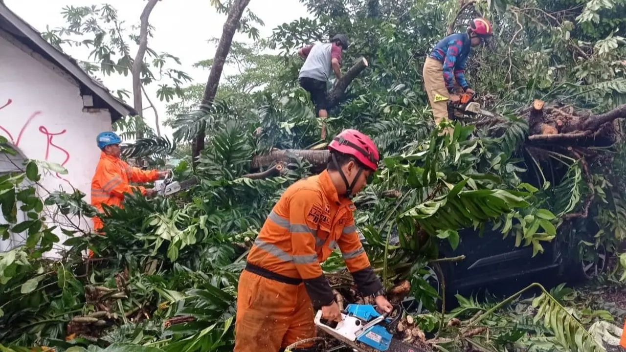 Hujan deras disertai angin kencang menyebabkan pohon tumbang di Kota Bogor, Jawa Barat.