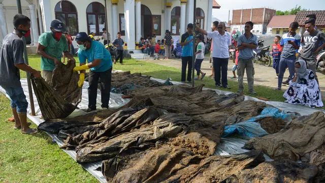 Penemuan 30 Jenazah Korban Tsunami Aceh Bikin Kaget Warga