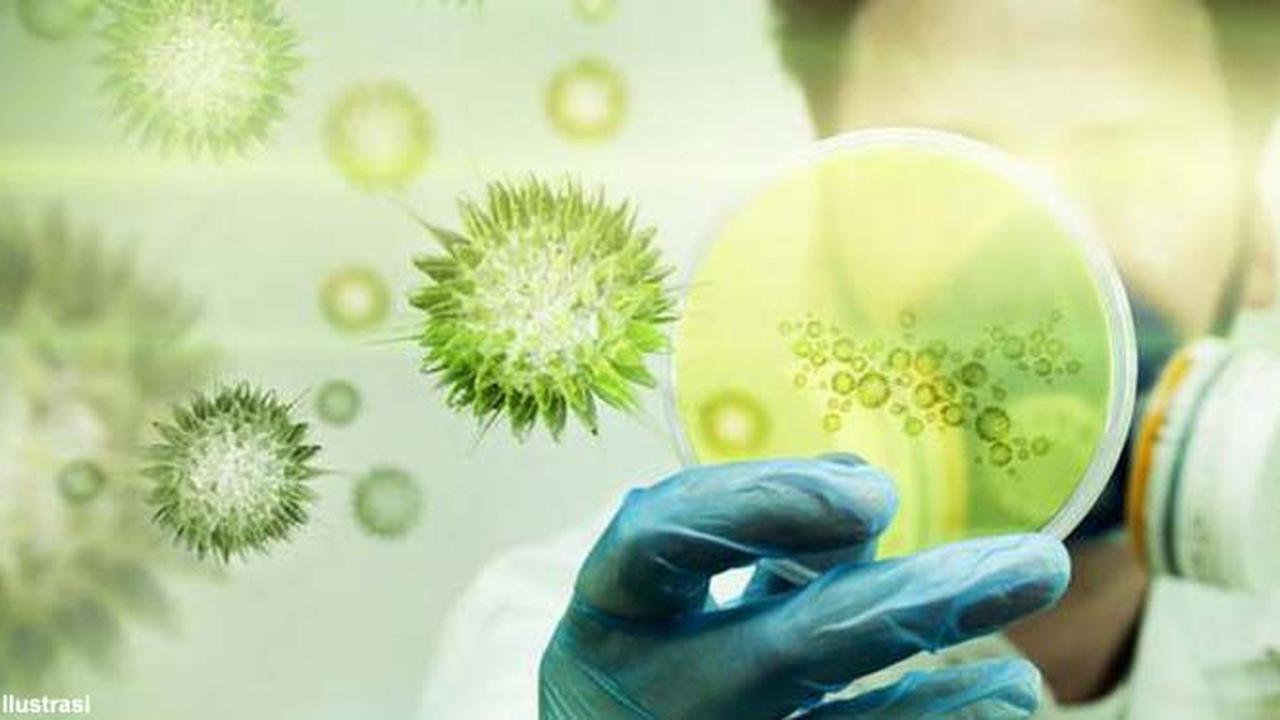 Ilustrasi virus mers 5 (Liputan6.com/M.Iqbal)