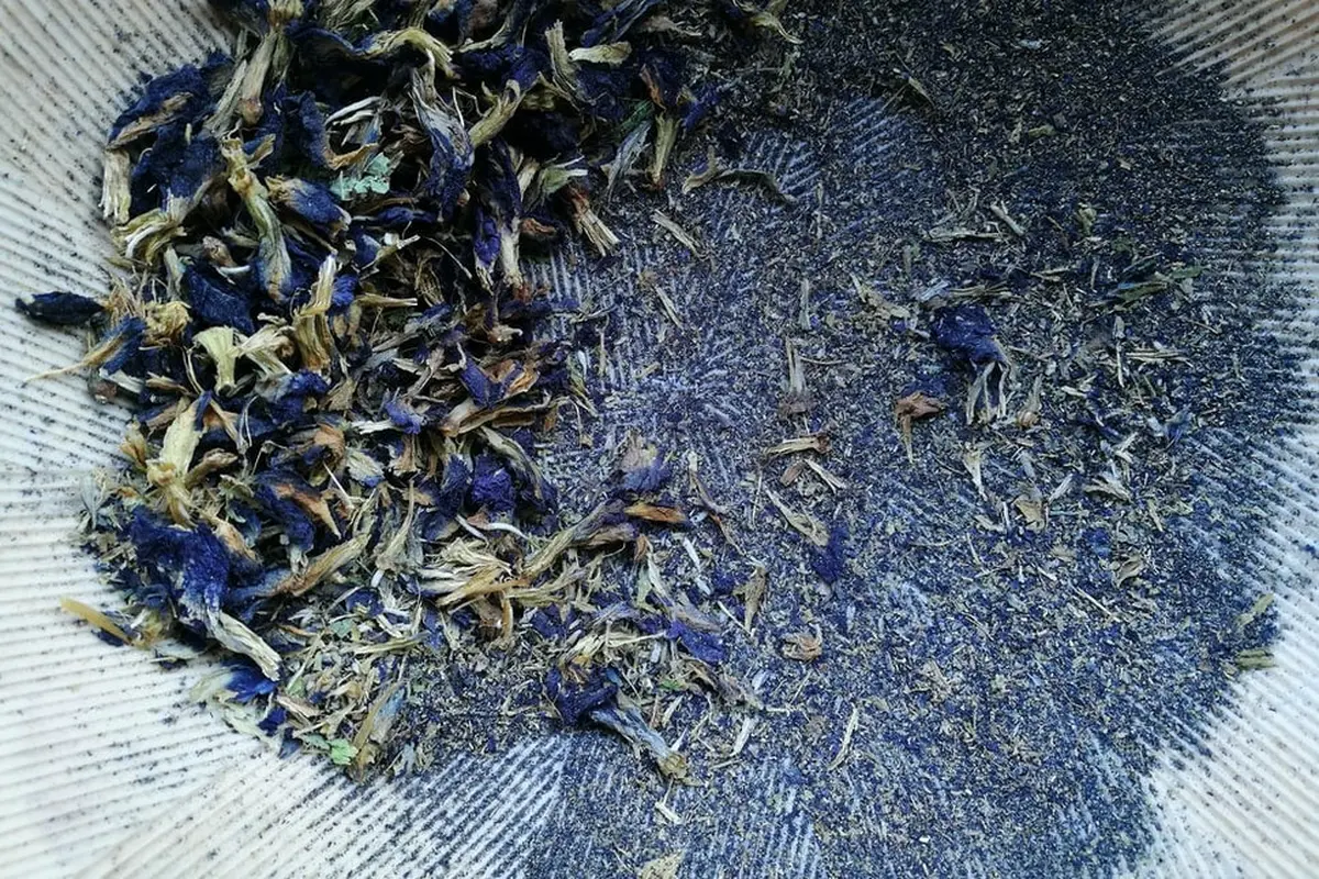 Teh bunga telang, selain memiliki warna yang cantik teh ini juga bermanfaat untuk Kesehatan.