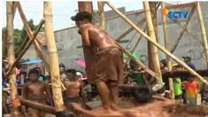 Batang pohon pisang yang licin sengaja dibuat tergantung. Hal ini semakin mempersulit para peserta lomba untuk memperebutkan hadiah menarik.