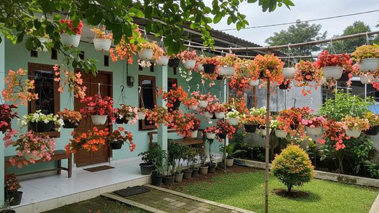15 Tanaman Gantung untuk Teras Sempit yang Awet Meski Jarang Disiram, Percantik Halaman Rumah