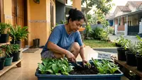 9 Cara Menanam Sawi Hijau dalam Wadah Dangkal di Teras, Tak Perlu Lahan Luas