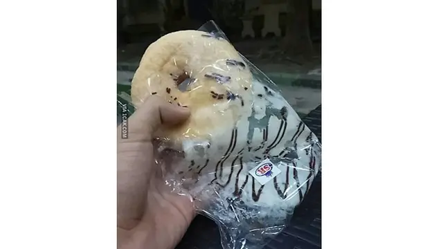6 Momen Apes saat Mau Makan Donat Ini Bikin Geregetan