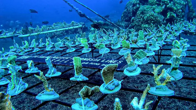 PT Salam Pacific Indonesia Lines (SPIL) turut mensukseskan tujuan pembangunan berkelanjutan (SDGs)