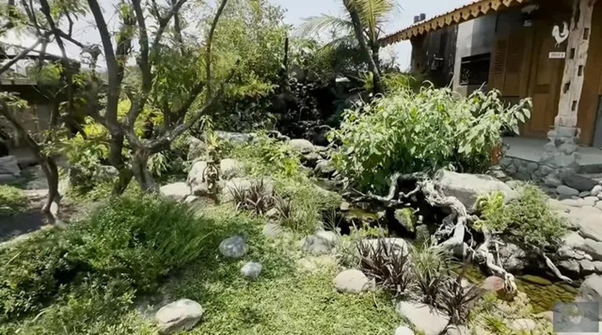 Model Kolam di Taman Rumah Soimah yang Luas Banget, Asri dengan Detail Artistik