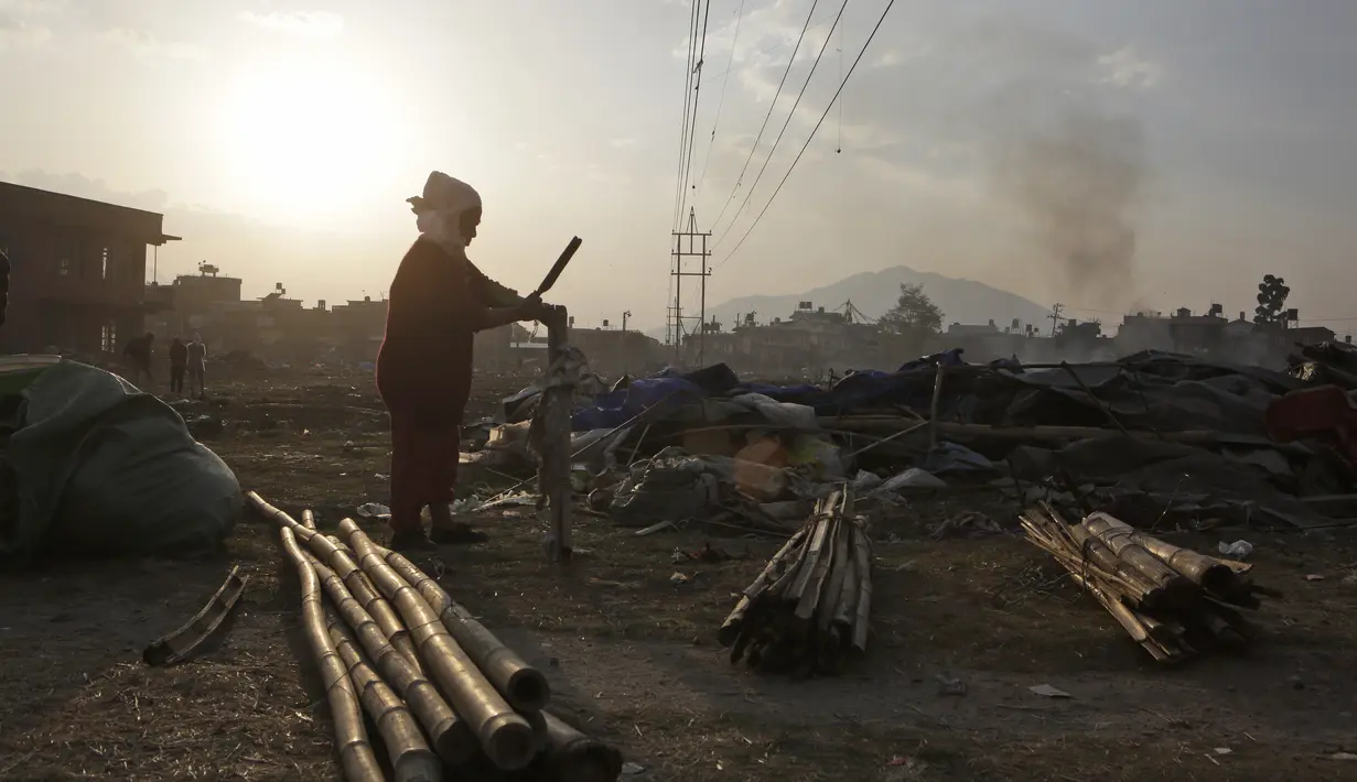 Warga menyiapkan bambu usai pemerintah membongkar tenda pengungsian mereka di di Chuchepati, Kathmandu, Nepal, Selasa (14/3). Pemerintah Nepal terpaksa menggusur kamp ini karena sudah berdiri selama dua tahun. (AP Photo)