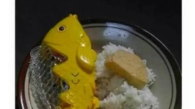 6 Makan Irit Pakai Lauk Mainan Bentuk Ikan Ini Nyeleneh, Kocak