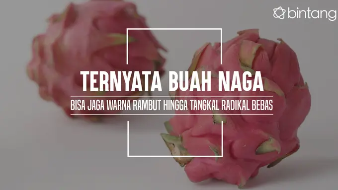 Manfaat buah naga (Foto: Daniel Kampua, Digital Imaging: Nurman Abdul Hakim/Bintang.com)
