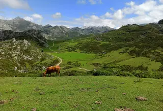 Picos de Europa, Spanyol. (dok. Bruno Alves/Unsplash)