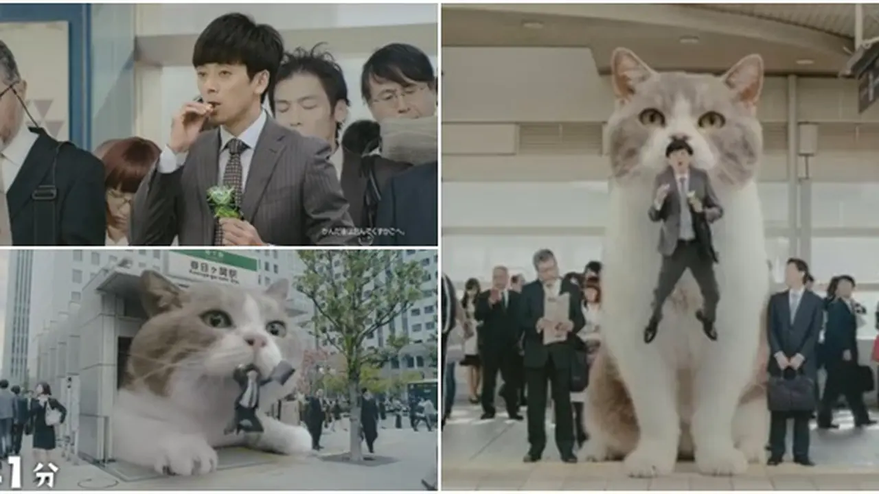 Photo copyright Youtube/Lotte