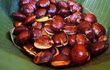 5 Metode Menghilangkan Bau Tak Sedap pada Jengkol, Praktis Dilakukan di Rumah!