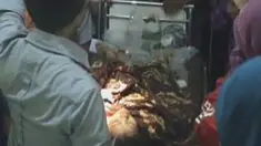 liputan6