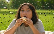 10 Makanan Terunik di Dunia, Ada Telur Embrio hingga Keju Berlarva!