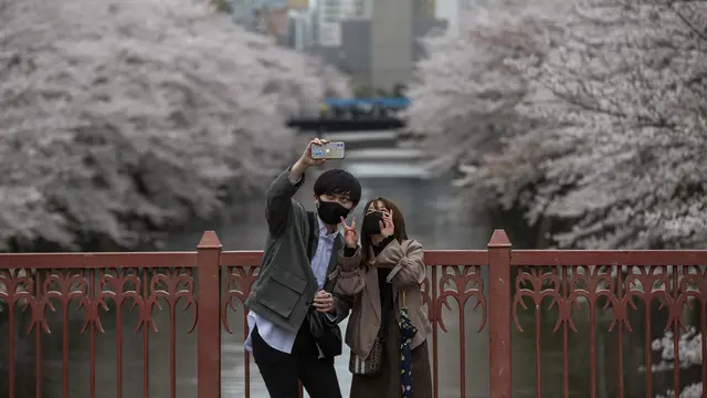 Indahnya Tokyo Dipenuhi Bunga Sakura Bermekaran
