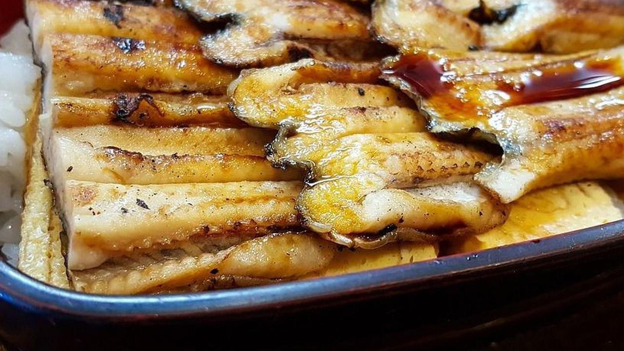 2. Ikan Sidat di Restoran Jepang Ternyata Berasal dari Cilacap