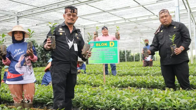 Mentan Syahrul Yasin Limpo (SYL) bersama bersama Bupati Garut Rudy Gunawan, saat meninjau nursey bibit kopi di Desa Cikandang, Kecamatan Cikajang, Garut, Ahad (28/8/2022). (Liputan6.com/Jayadi Supriadin)