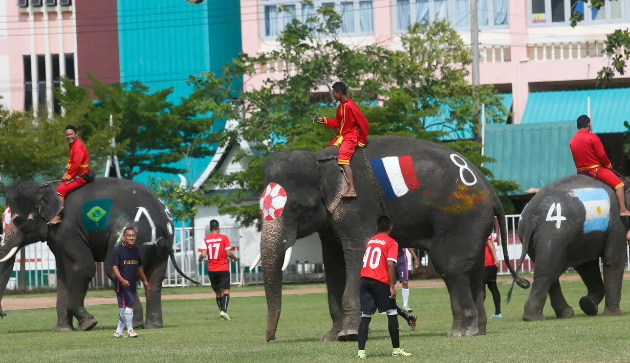 Tim Ayutthaya Wittayalai School bertanding sepakbola melawan gajah di sebuah sekolah di Provinsi Ayutthaya, Thailand, Selasa (12/6). Pertandingan digelar sebagai kampanye untuk mempromosikan Piala Dunia 2018. (AP Photo/Sakchai Lalit)
