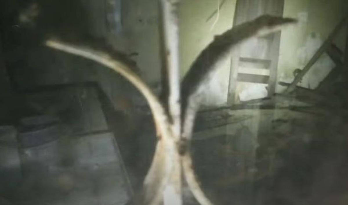 Belakang Rumah Ada Kamar Pembantu