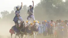 Sikh India 'Nihangs', atau anggota militer tradisional Sikh menujukkan keterampilan berkuda selama perayaan Fateh Divas di Amritsar (20/10). Perayaan Fateh Divas ini digelar sehari setelah festival Diwali. (AFP/Narinder Nanu)