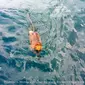 Foto-foto proses penyelamatan bekantan di pulau Gaya, Malaysia. 